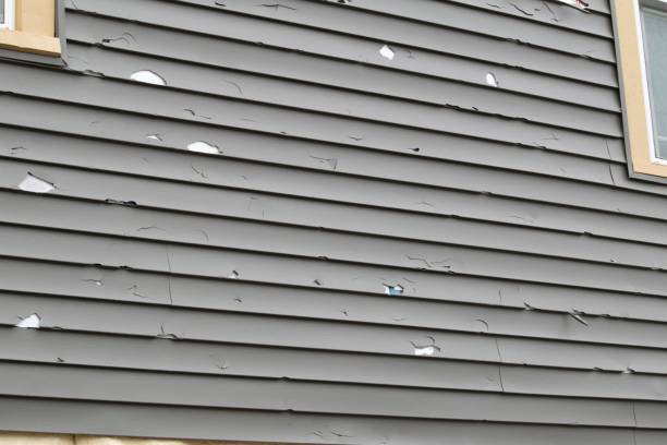 Best Steel Siding Installation  in Upland, CA